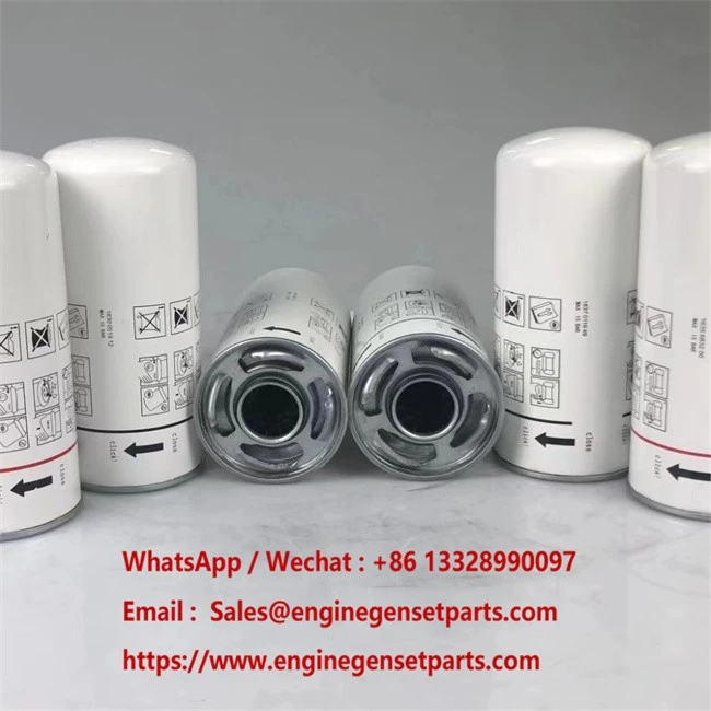 1635683200 Filtru de ulei lubrifiant